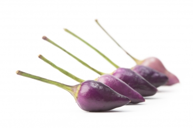 Heart-shaped Purple Eckerton Peppers